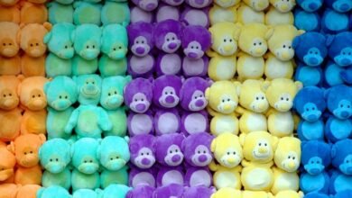 market recovery stocks daily