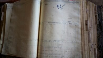 phone number history search