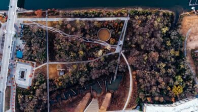 innovation pathways and outlook