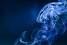 sector dynamics analysis report