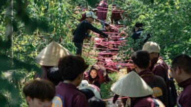 strategic growth opportunities identified