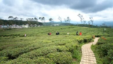 untapped opportunities exploration initiative